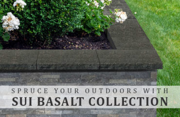 BASALT collection