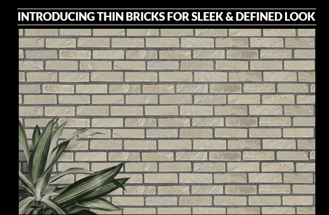 Thin bricks